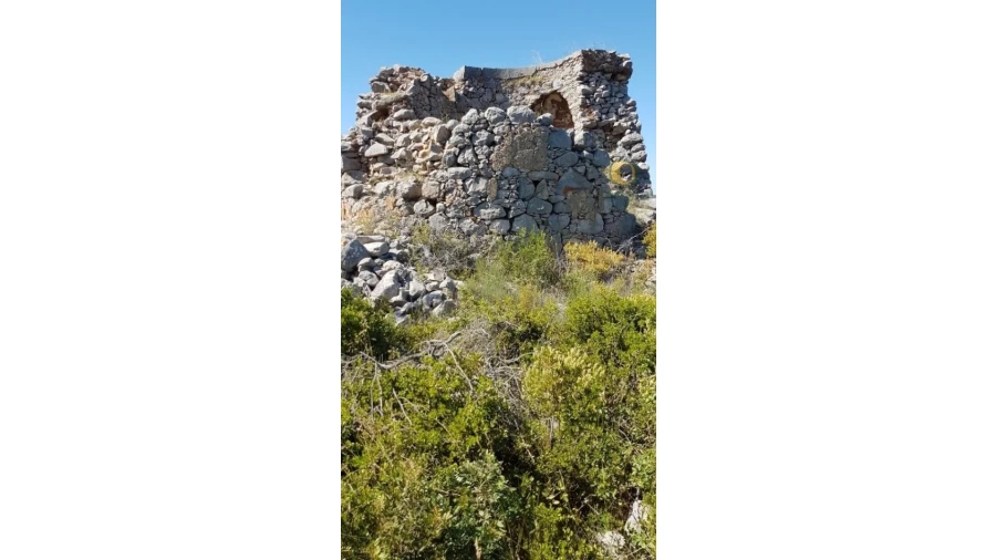 Quinta para Venda em São Brás de Alportel Foto 5