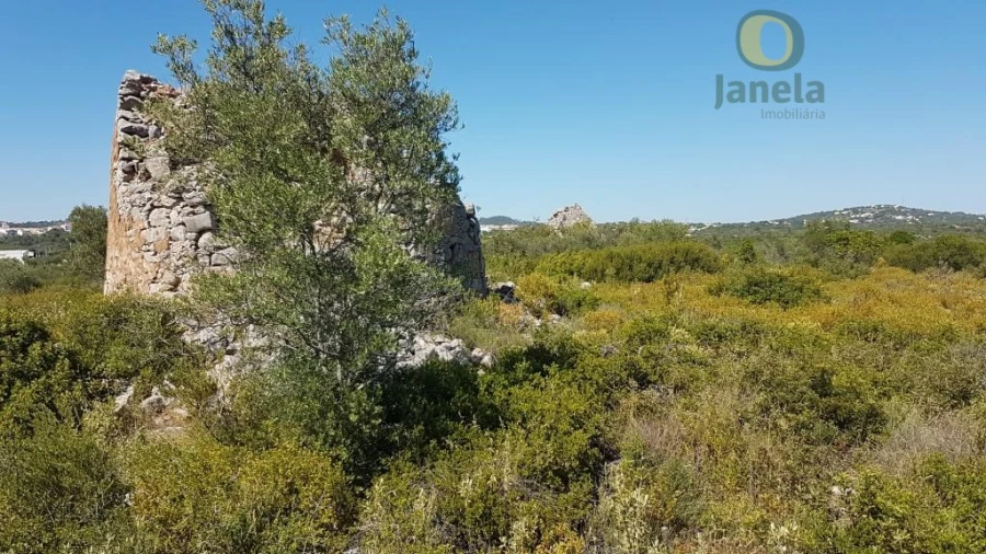 Quinta para Venda em São Brás de Alportel