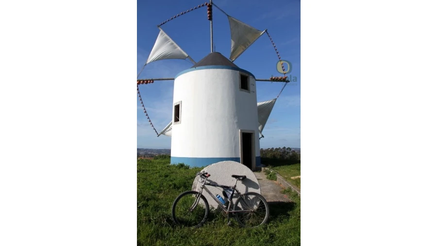 Quinta para Venda em São Brás de Alportel Foto 6