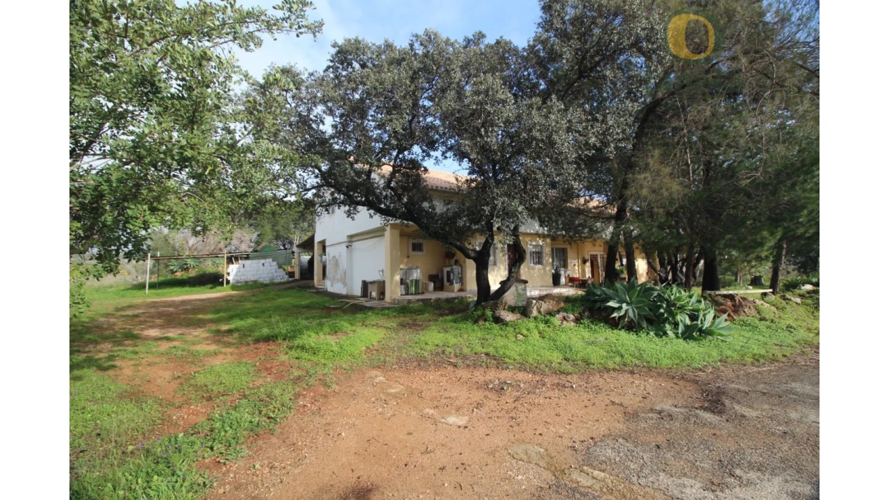 Moradia T3 para Venda em Santa Barbara de Nexe Foto 3