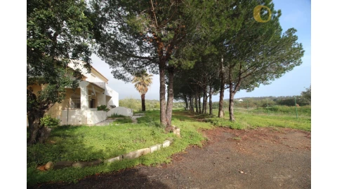 Moradia T3 para Venda em Santa Barbara de Nexe