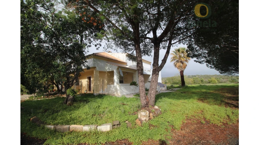 Moradia T3 para Venda em Santa Barbara de Nexe Foto 2