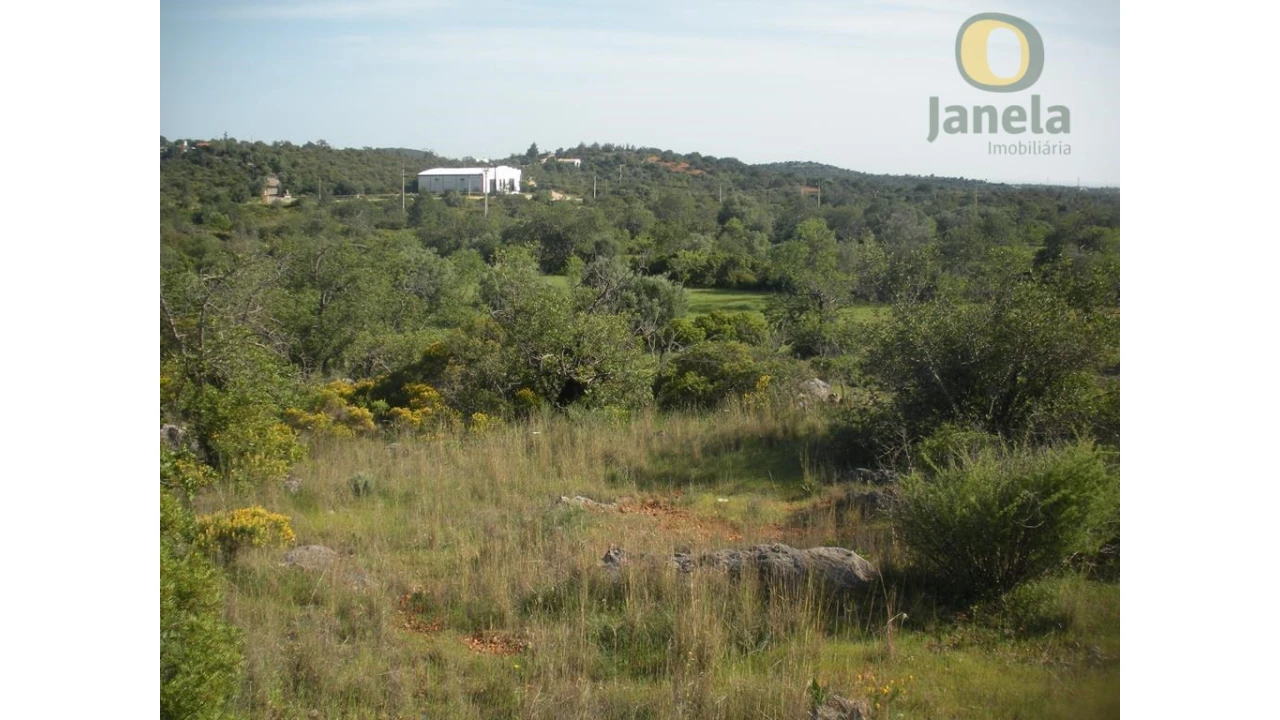 Terreno Agricola ou Rústico para Venda em Loule (São Sebastião) Foto 1