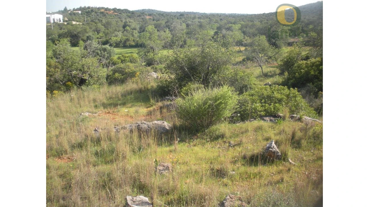 Terreno Agricola ou Rústico para Venda em Loule (São Sebastião) Foto 4