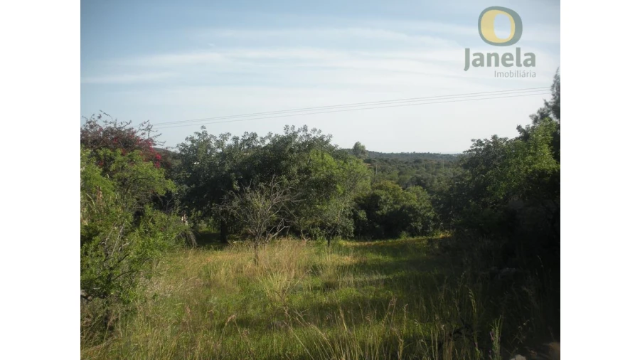 Terreno Agricola ou Rústico para Venda em Loule (São Sebastião) Foto 2
