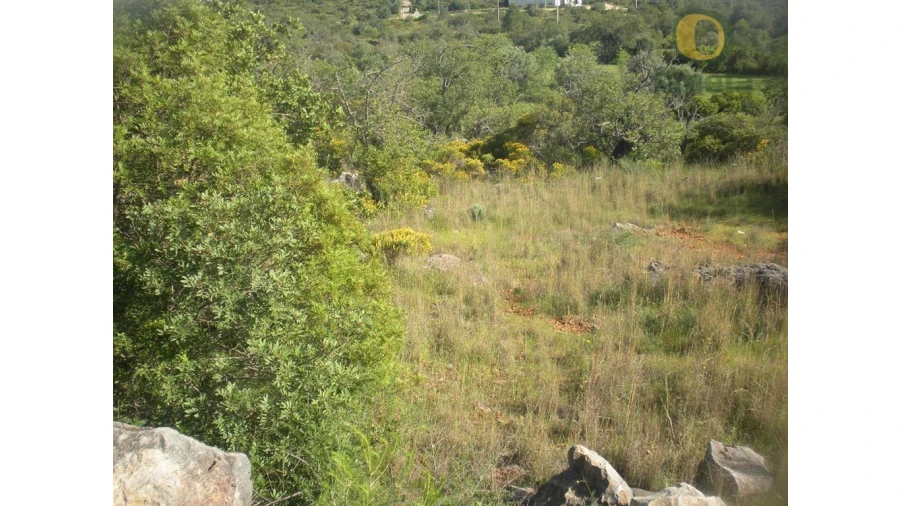 Terreno Agricola ou Rústico para Venda em Loule (São Sebastião) Foto 5