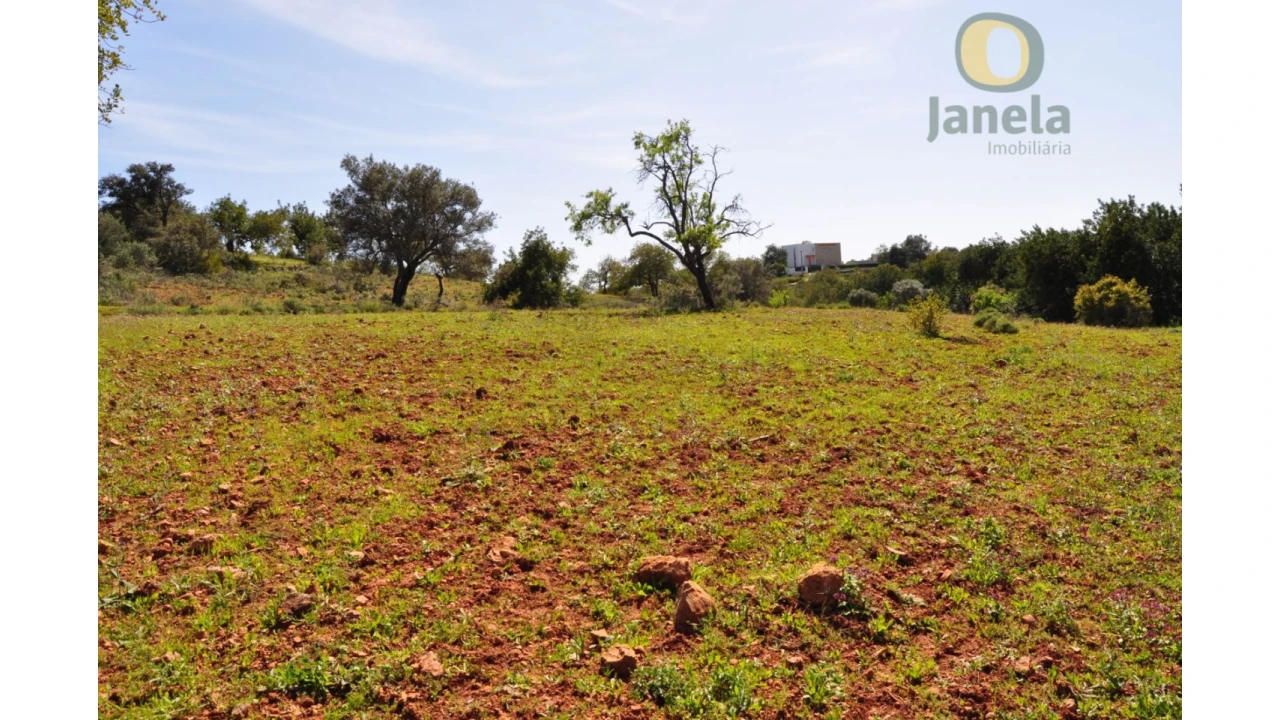 Terreno Agricola ou Rústico para Venda em Boliqueime Foto 2