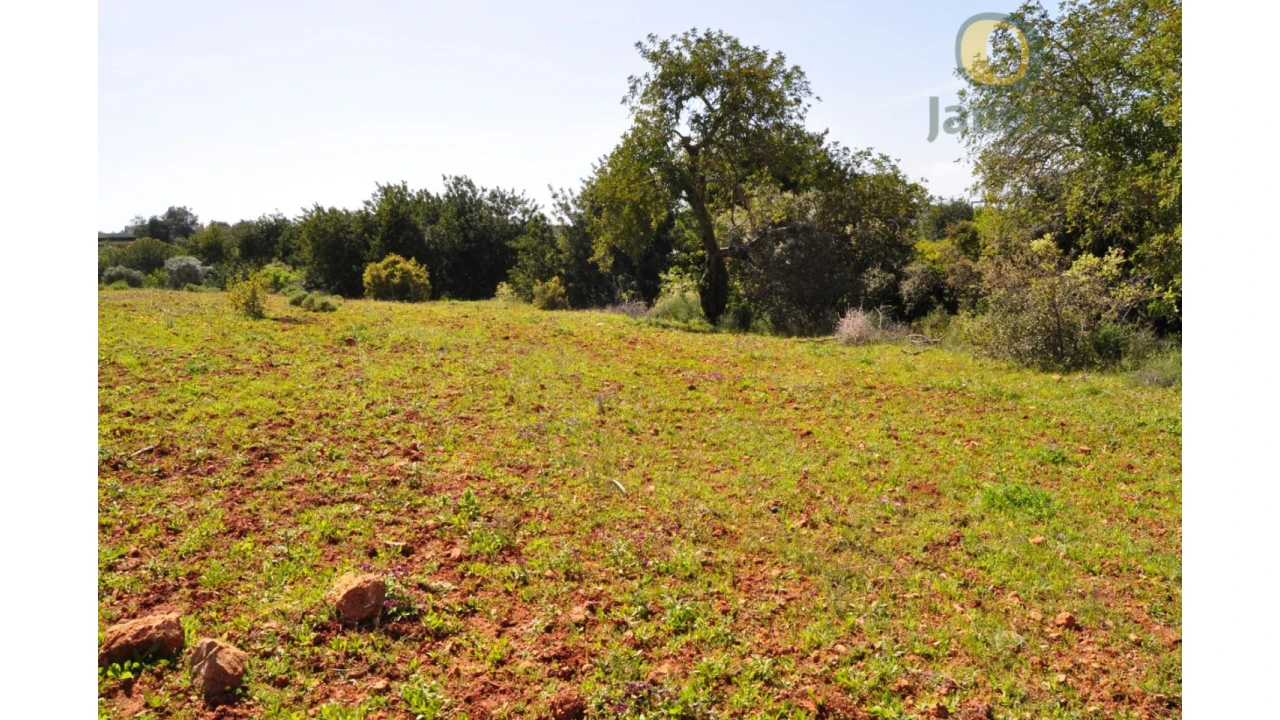 Terreno Agricola ou Rústico para Venda em Boliqueime Foto 3