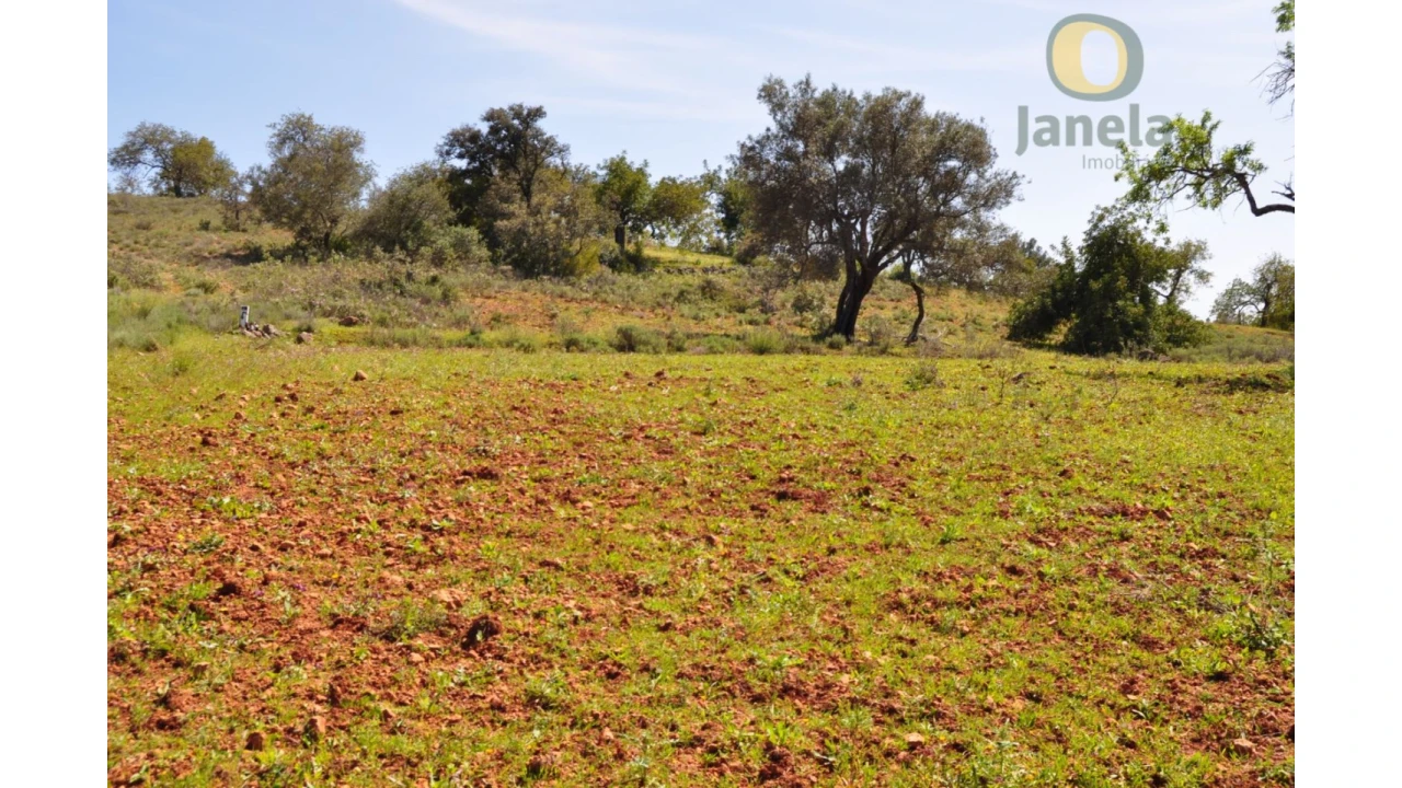 Terreno Agricola ou Rústico para Venda em Boliqueime Foto 1