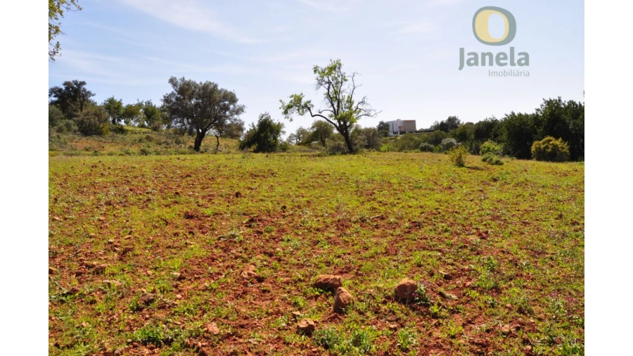 Terreno Agricola ou Rústico para Venda em Boliqueime Foto 2