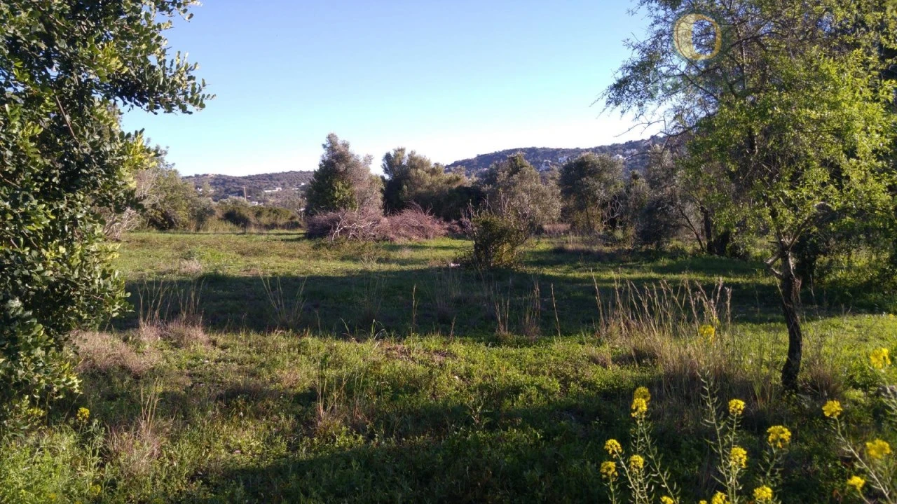 Terreno Agricola ou Rústico para Venda em São Brás de Alportel Foto 1