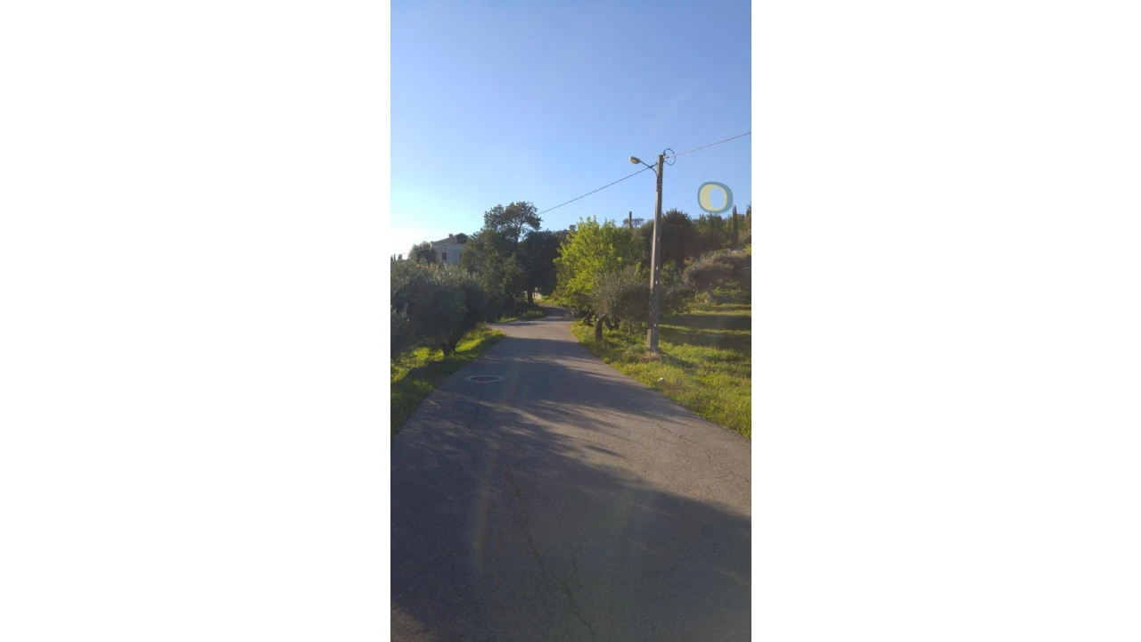 Terreno Agricola ou Rústico para Venda em São Brás de Alportel Foto 3