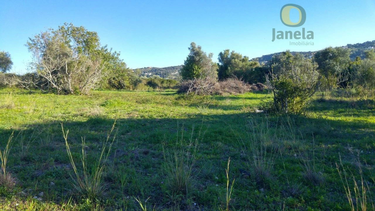 Terreno Agricola ou Rústico para Venda em São Brás de Alportel Foto 5