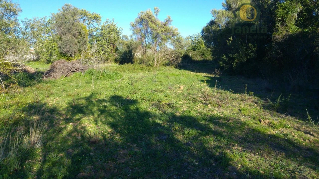 Terreno Agricola ou Rústico para Venda em São Brás de Alportel Foto 6