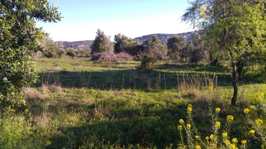 Terreno Agricola ou Rústico para Venda em São Brás de Alportel Foto 2