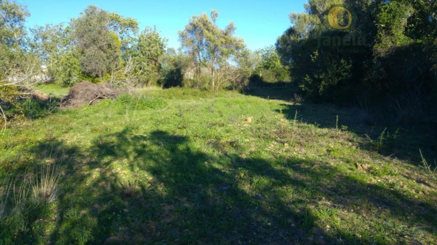Terreno Agricola ou Rústico para Venda em São Brás de Alportel Foto 6