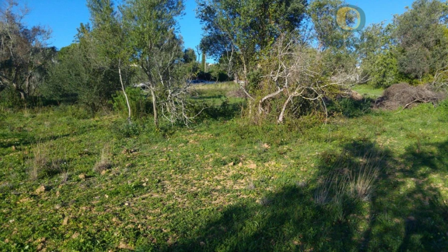 Terreno Agricola ou Rústico para Venda em São Brás de Alportel Foto 7
