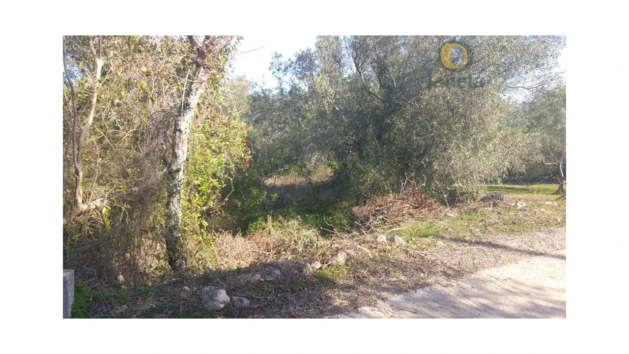 Terreno Agricola ou Rústico para Venda em Alte Foto 1