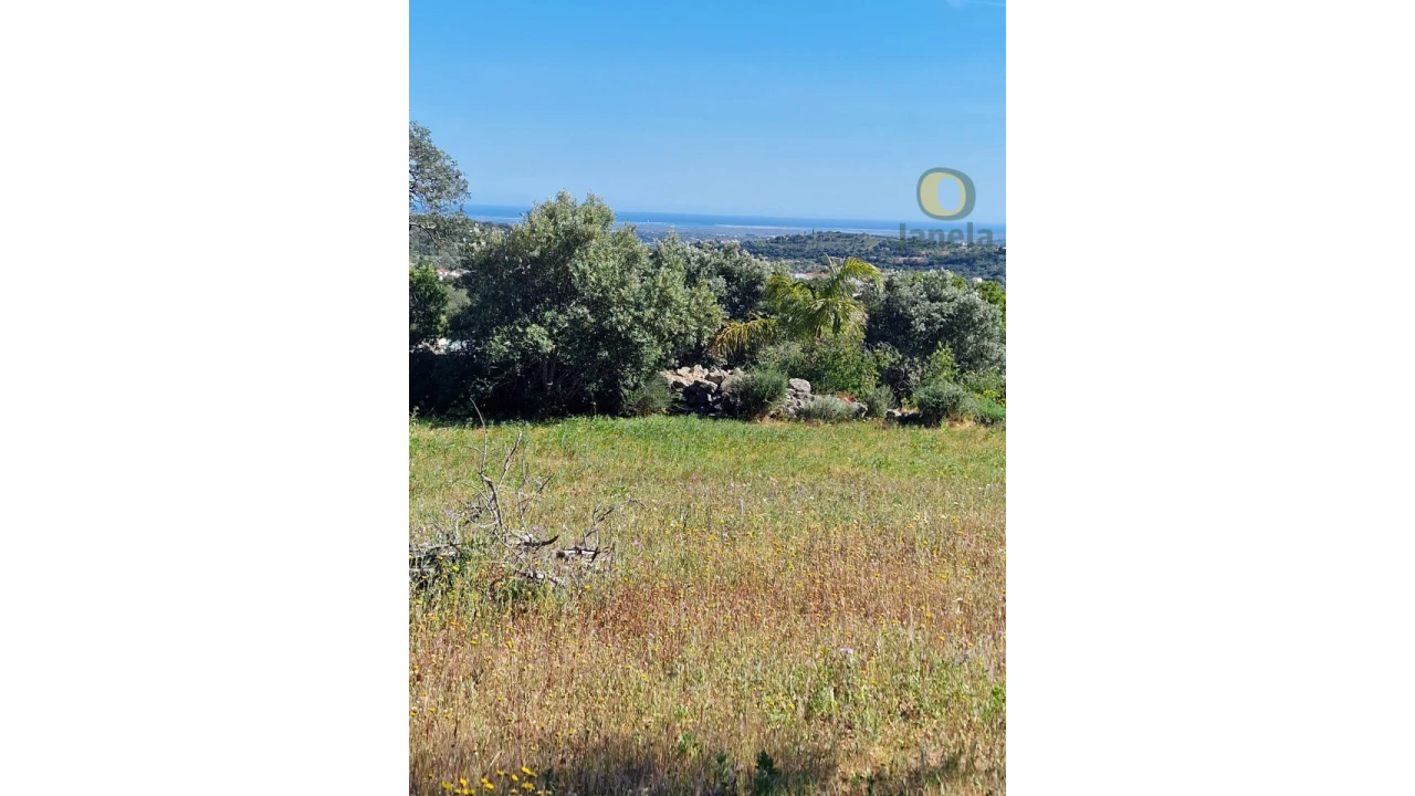 Terreno para Venda em Conceição e Estoi Foto 9