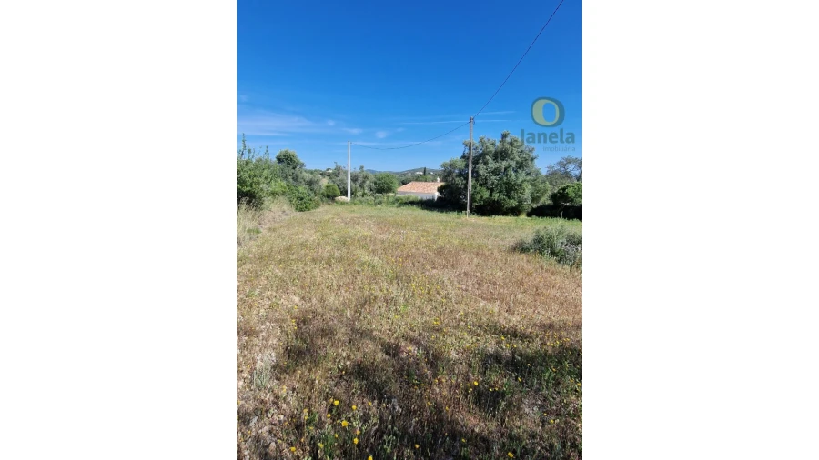Terreno para Venda em Conceição e Estoi Foto 5