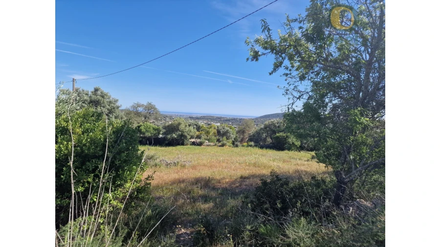 Terreno para Venda em Conceição e Estoi Foto 20