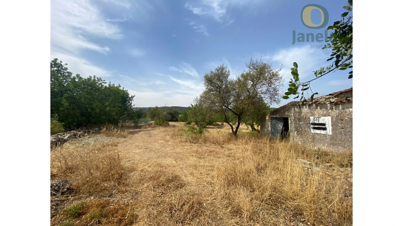 Quinta T3 para Venda em São Brás de Alportel Foto 6