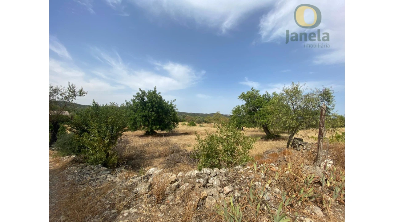 Quinta T3 para Venda em São Brás de Alportel Foto 8
