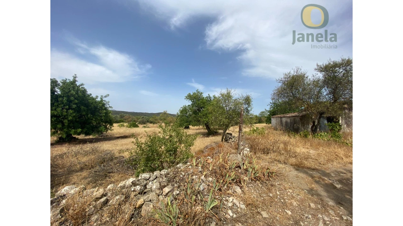 Quinta T3 para Venda em São Brás de Alportel Foto 7