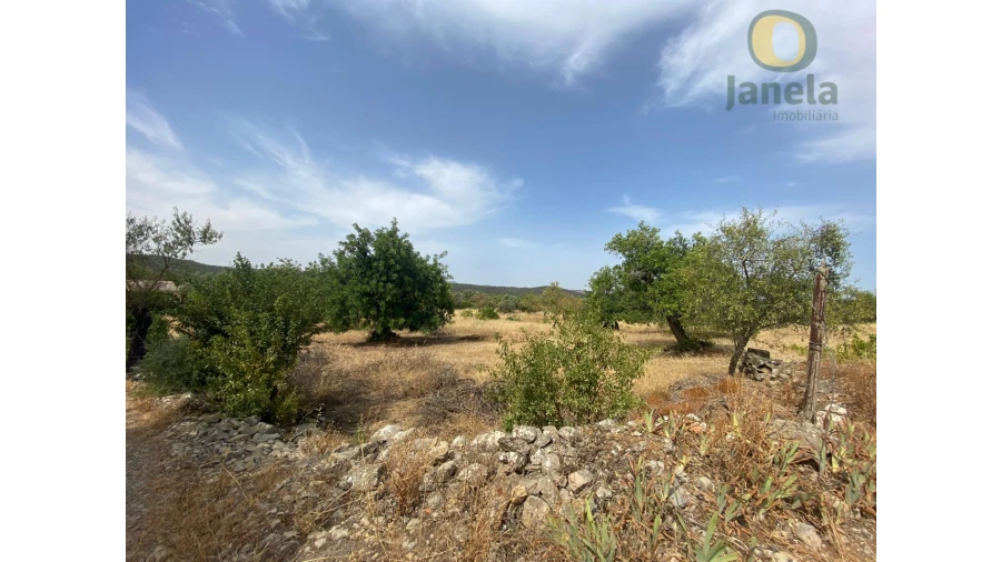 Quinta T3 para Venda em São Brás de Alportel Foto 8