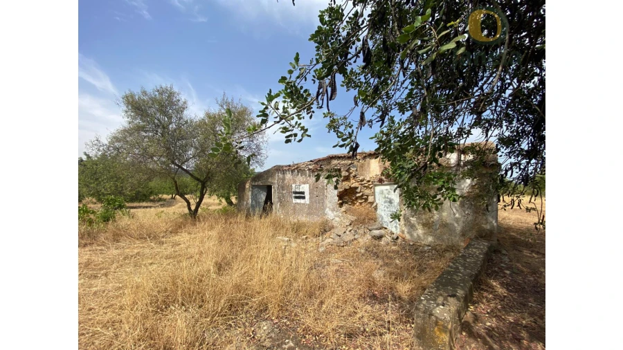 Quinta T3 para Venda em São Brás de Alportel Foto 3