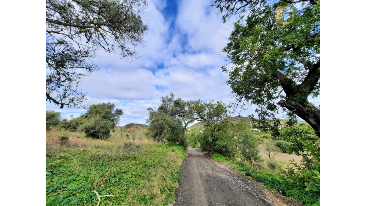 Quinta T2 para Venda em Santa Catarina da Fonte do Bispo Foto 3