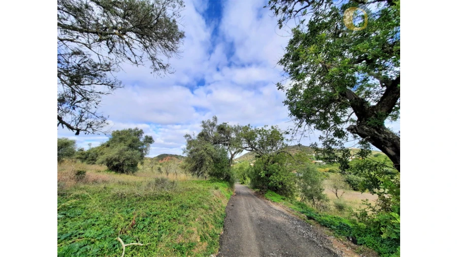 Quinta T2 para Venda em Santa Catarina da Fonte do Bispo Foto 3