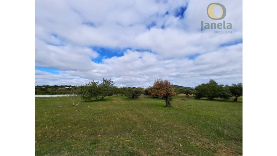 Quinta T2 para Venda em Santa Catarina da Fonte do Bispo Foto 4