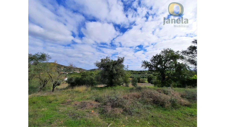 Quinta T2 para Venda em Santa Catarina da Fonte do Bispo Foto 5