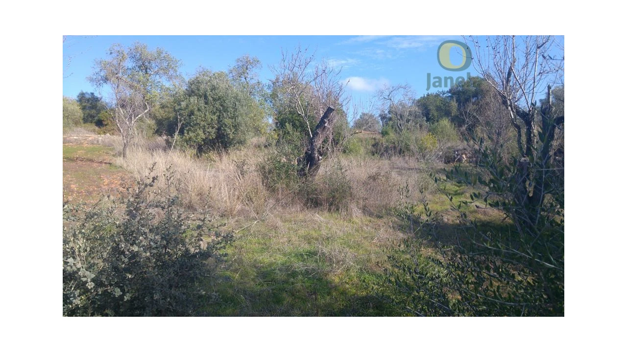 Terreno Agricola ou Rústico para Venda em Alte Foto 1