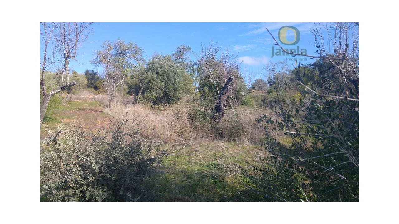 Terreno Agricola ou Rústico para Venda em Alte Foto 2