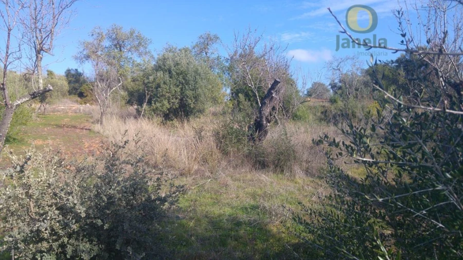 Terreno Agricola ou Rústico para Venda em Alte Foto 2