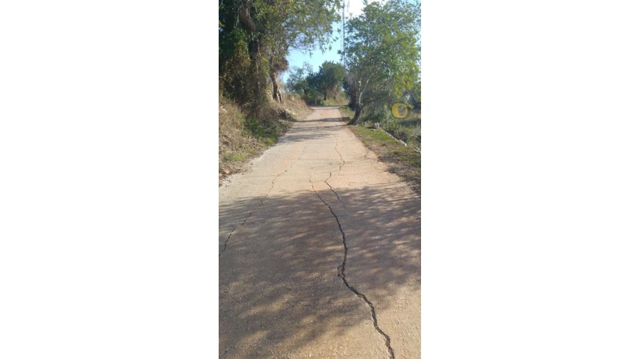 Terreno Agricola ou Rústico para Venda em Alte Foto 4