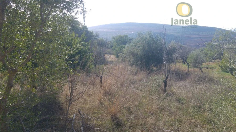 Terreno Agricola ou Rústico para Venda em Alte Foto 5