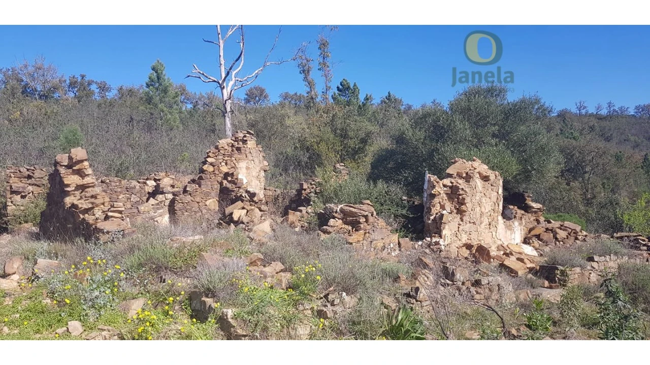 Terreno para Venda em Salir Foto 1