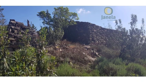 Terreno para Venda em Salir