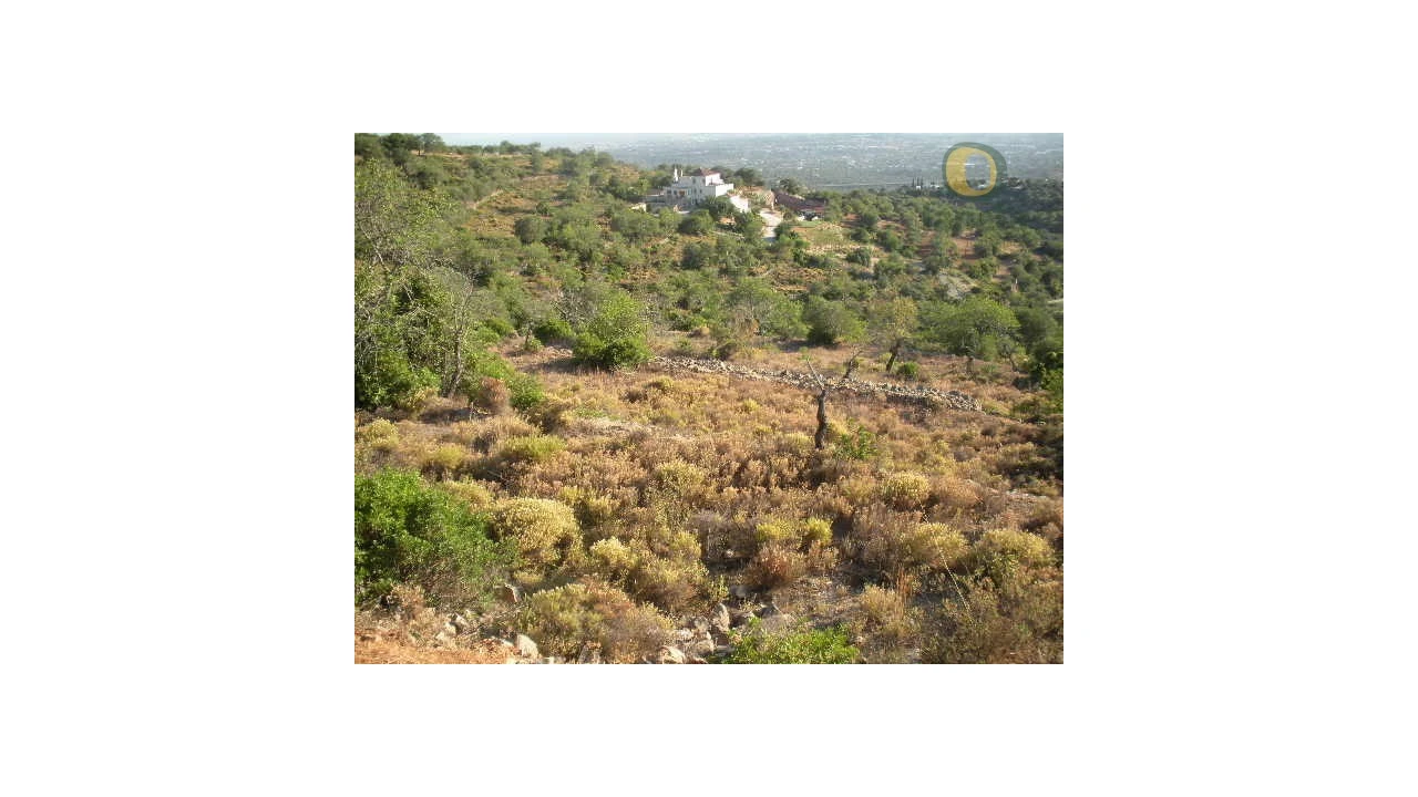 Terreno Agricola ou Rústico para Venda em Conceição e Estoi Foto 2