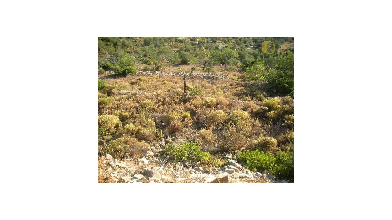 Terreno Agricola ou Rústico para Venda em Conceição e Estoi Foto 3