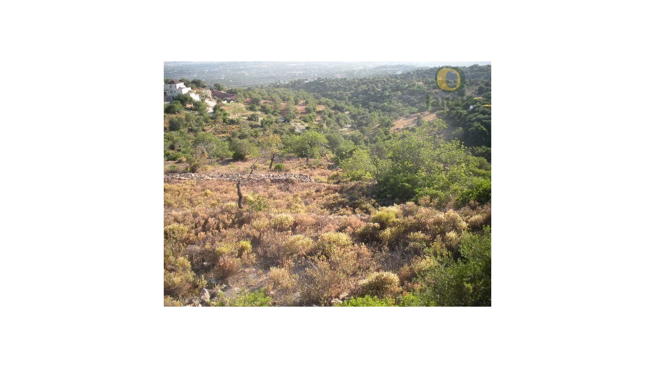 Terreno Agricola ou Rústico para Venda em Conceição e Estoi Foto 4