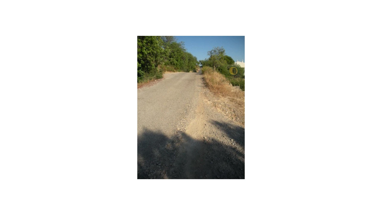 Terreno Agricola ou Rústico para Venda em Conceição e Estoi Foto 5