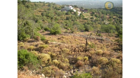 Terreno Agricola ou Rústico para Venda em Conceição e Estoi