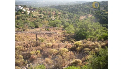 Terreno Agricola ou Rústico para Venda em Conceição e Estoi