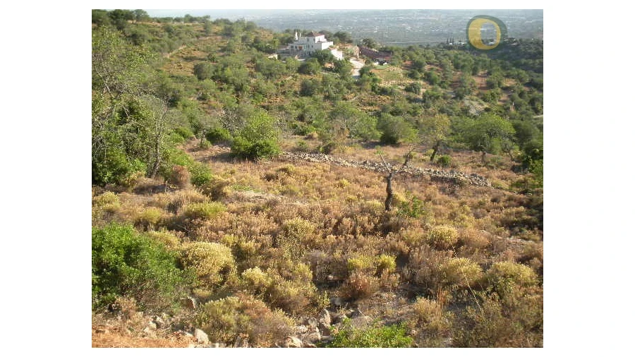 Terreno Agricola ou Rústico para Venda em Conceição e Estoi Foto 2
