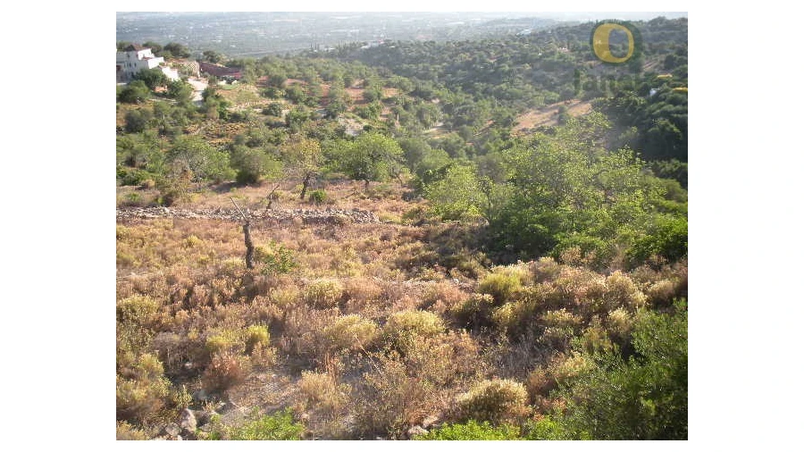 Terreno Agricola ou Rústico para Venda em Conceição e Estoi Foto 4
