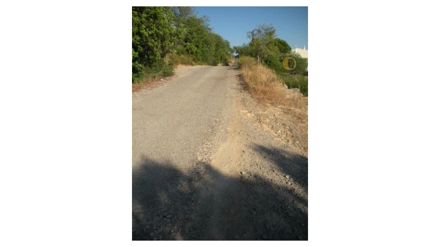 Terreno Agricola ou Rústico para Venda em Conceição e Estoi Foto 5